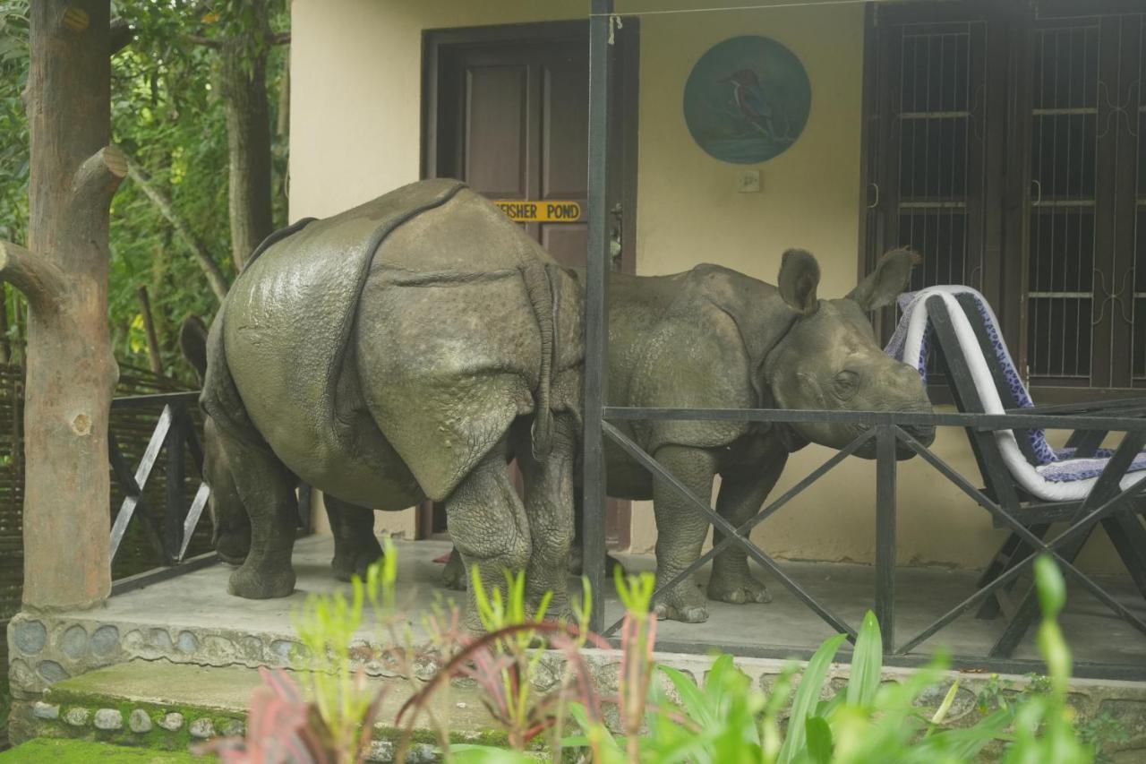 Chitwan Gaida Lodge - Animal Lovers & Birdwatchers Paradise Саураха Экстерьер фото