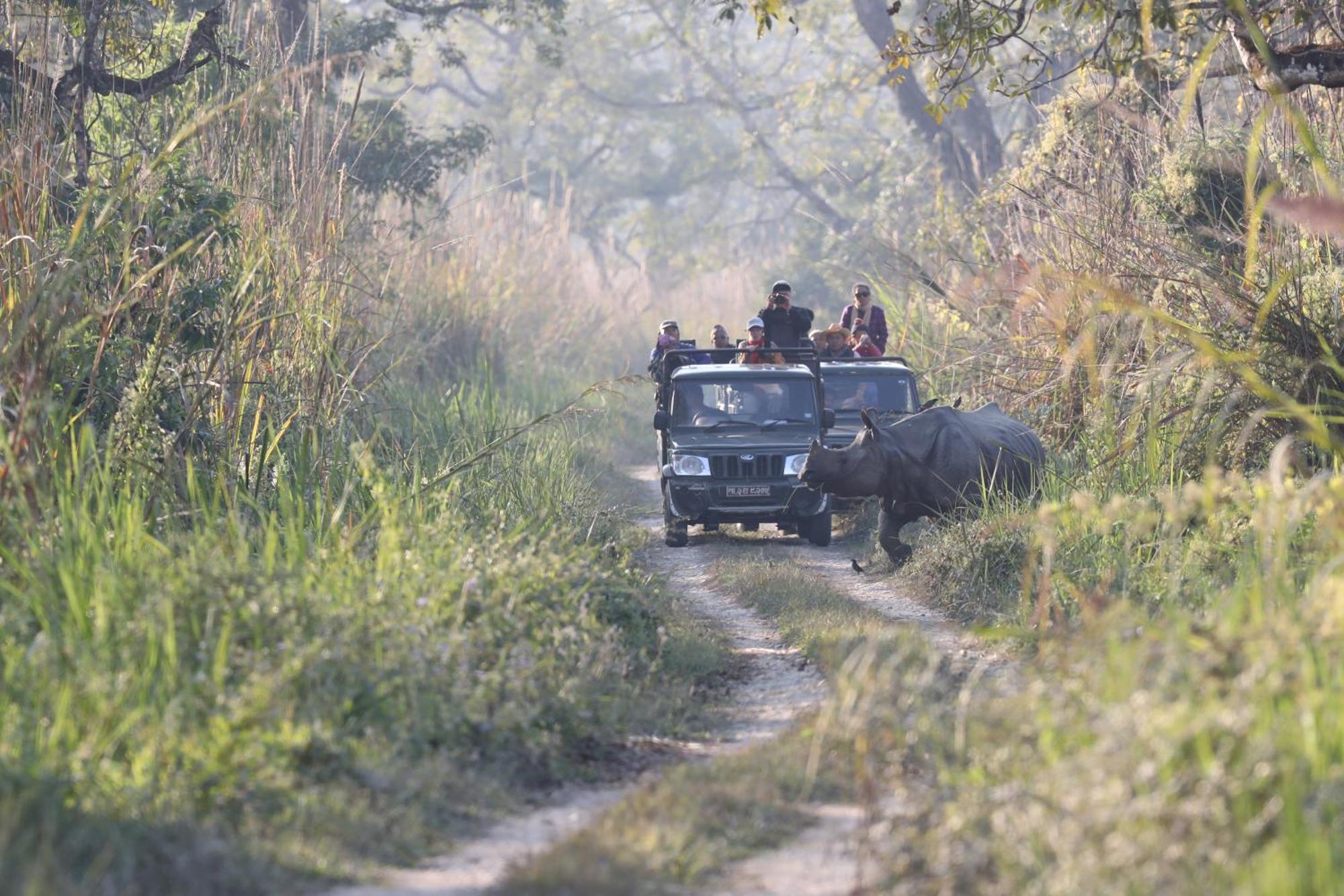 Chitwan Gaida Lodge - Animal Lovers & Birdwatchers Paradise Саураха Экстерьер фото