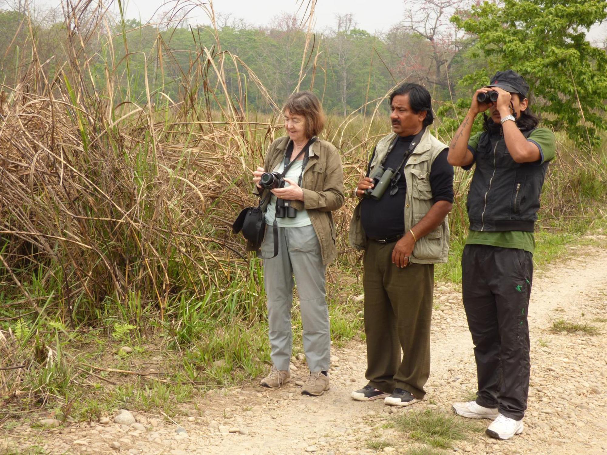 Chitwan Gaida Lodge - Animal Lovers & Birdwatchers Paradise Саураха Экстерьер фото